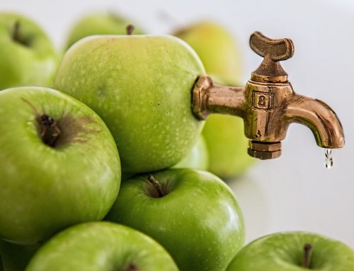 Travel to Eternal Youth: Where To Go to Look Healthier and Feel Fabulous