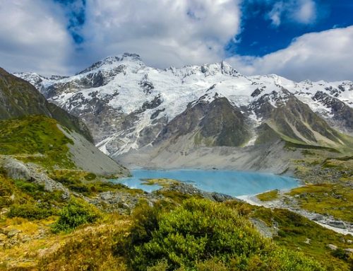 New Zealand for Freaks and Geeks: Cool Stuff To Do in NZ