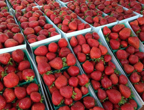 Live Like a Local in LA: Exploring Main St. in Santa Monica