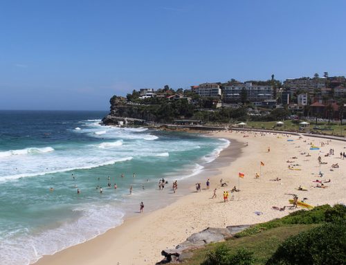 Sightseeing Tour Sydney in a Cool Vintage Car
